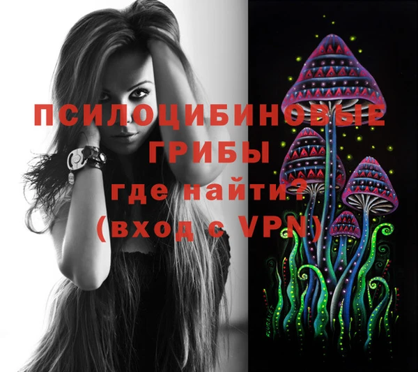ПСИЛОЦИБИНОВЫЕ ГРИБЫ Инта