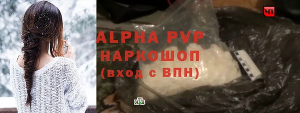 ПСИЛОЦИБИНОВЫЕ ГРИБЫ Инта