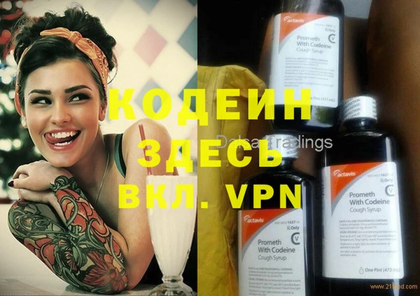 ПСИЛОЦИБИНОВЫЕ ГРИБЫ Инта