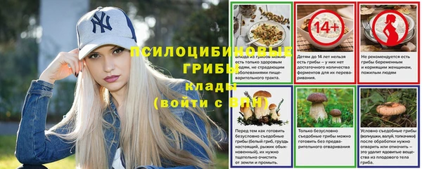 PSILOCYBIN Инсар
