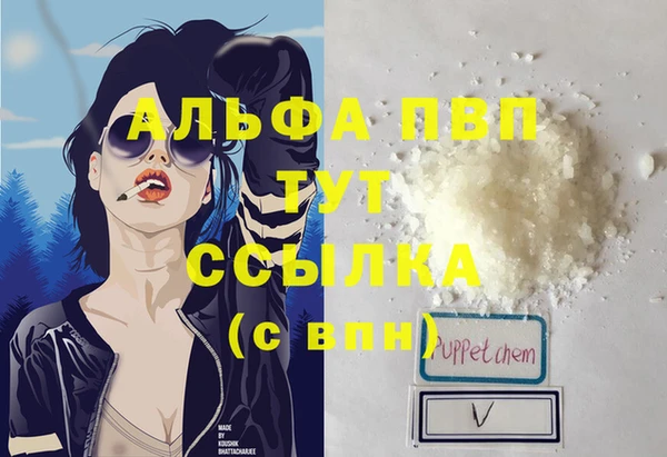 ПСИЛОЦИБИНОВЫЕ ГРИБЫ Инта