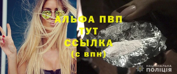 ПСИЛОЦИБИНОВЫЕ ГРИБЫ Инта