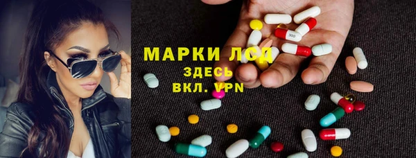 ПСИЛОЦИБИНОВЫЕ ГРИБЫ Инта