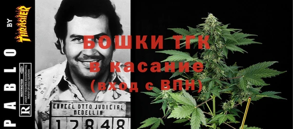ПСИЛОЦИБИНОВЫЕ ГРИБЫ Инта