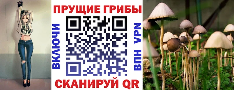 Купить где  Северобайкальск  Псилоцибиновые грибы ЛСД 
